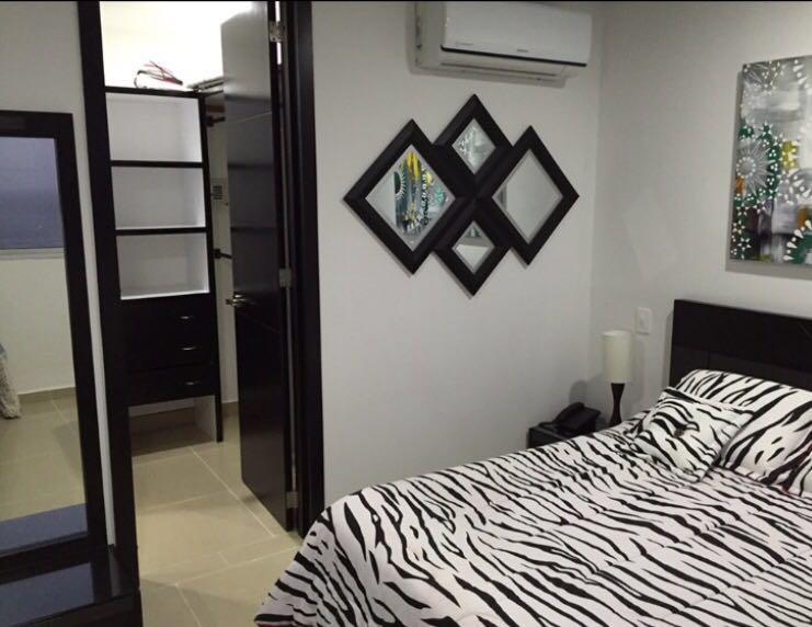 Palmetto Luxury Cartagena