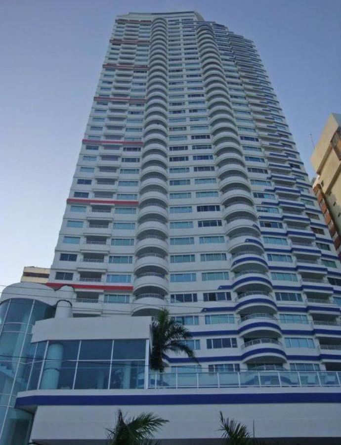 Palmetto Luxury